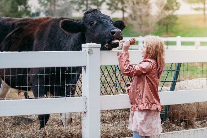 Premium Amish Country Tour including Amish Farm and House - The 1805 farmhouse explains Amish home life