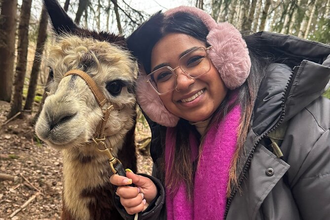 PRIVATE Alpaca Guided Forest Walk + Feeding Helsinki - Who will enjoy this most?