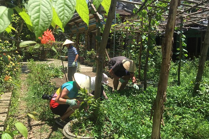 Private Cycling Tour in Rural Hue with Farming Experience - A working farm, a farmer’s tea break, and seasonal activities