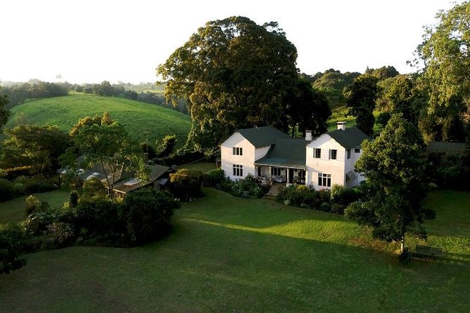 Private Day Trip to Kiambethu Tea Farm in Limuru from Nairobi - Is $141 per person good value?