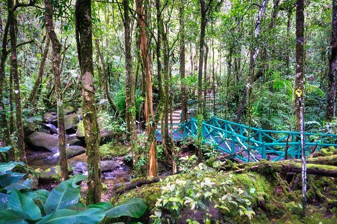Private Desa Dairy Farm, Kinabalu National Park, Hot Spring & Canopy Walk Tour - Who will enjoy this tour most?