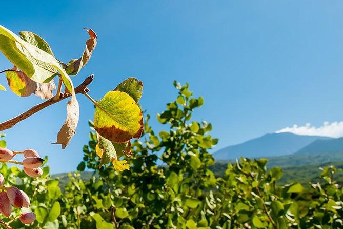 Private Etna tour and pistachio lunch in a pistachio farm - Morning on Mount Etna: craters, lava, and safe walking