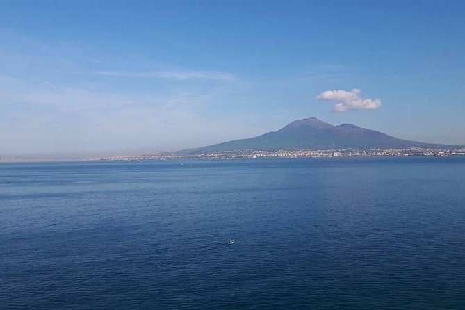 Private Exclusive Tour of Positano & Sorrento + Farmhouse Lunch - Farmhouse Lunch at Azienda Agricola La Sorgente