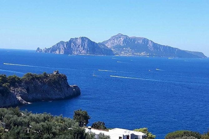 Private Exclusive Tour of Positano & Sorrento + Farmhouse Lunch - Is $451.01 Per Person a Fair Price?