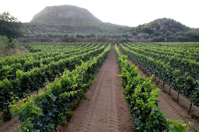 Private Excursion to Ancient Olympia - bee farm & winery - The Archaeological Museum adds essential context