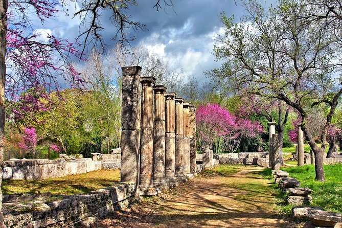 Private Excursion to Ancient Olympia - bee farm & winery - A short stop in modern Olympia