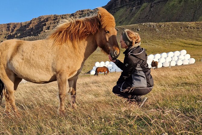 Private Farm Visit & Silver Circle Day Tour in West Iceland - Key points at a glance