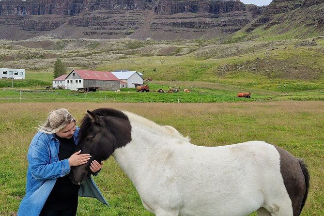 Private Farm Visit & Silver Circle Day Tour in West Iceland - Grábrók Crater: an easy climb with a broad payoff