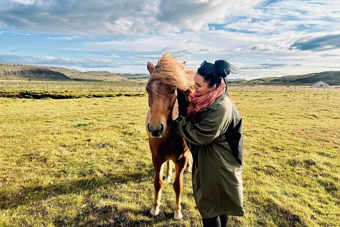 Private Farm Visit & Silver Circle Day Tour in West Iceland - Hvassafell II: the personal heart of the day