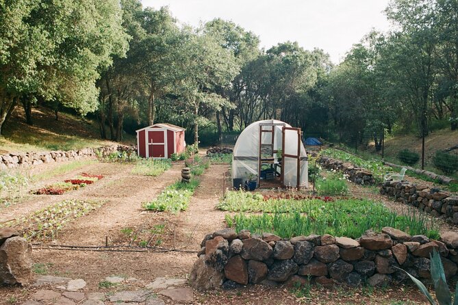 Private Farm Workshop in Napa Valley - Why this Napa workshop is different from a wine tour