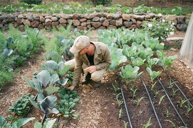 Private Farm Workshop in Napa Valley - What the mountain setting adds