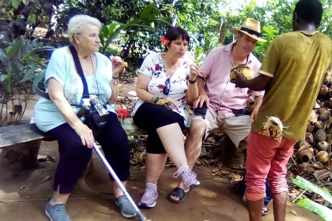 Private Full Day Trip to Stone Town, Spice Farms and Jozani Forest - Jozani Forest: red colobus monkeys and mangroves