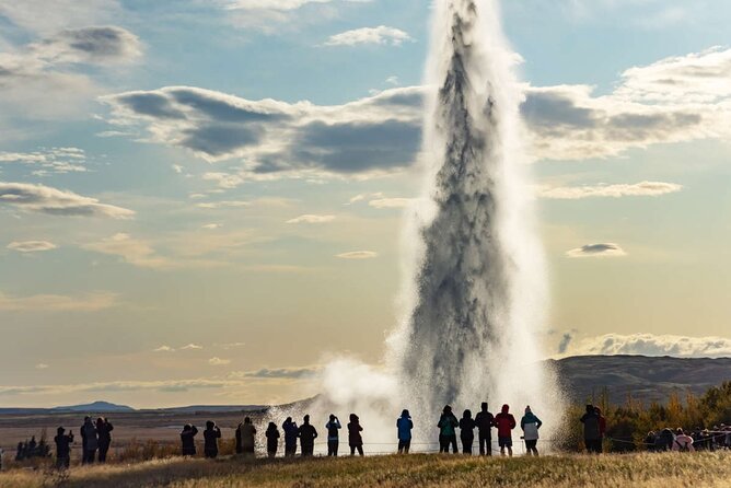 Private Golden Circle & Blue Lagoon Tour with Fridheimar Farm - Driver support and the private vehicle