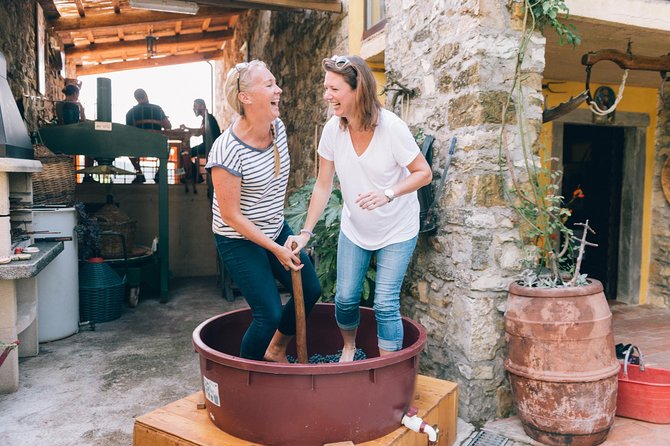 Private Grape stomping at Chianti Farmhouse - Key points to know before booking