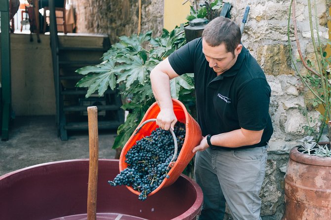 Private Grape stomping at Chianti Farmhouse - Arriving at the Castellina meeting point at 10:00 a.m.