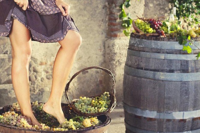 Private Grape stomping at Chianti Farmhouse - Grape stomping, with a dose of good humor