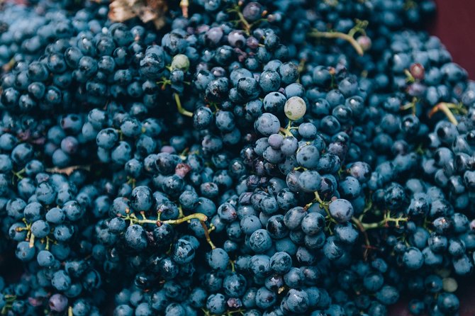 Private Grape stomping at Chianti Farmhouse - The homemade lunch is a major reason to book