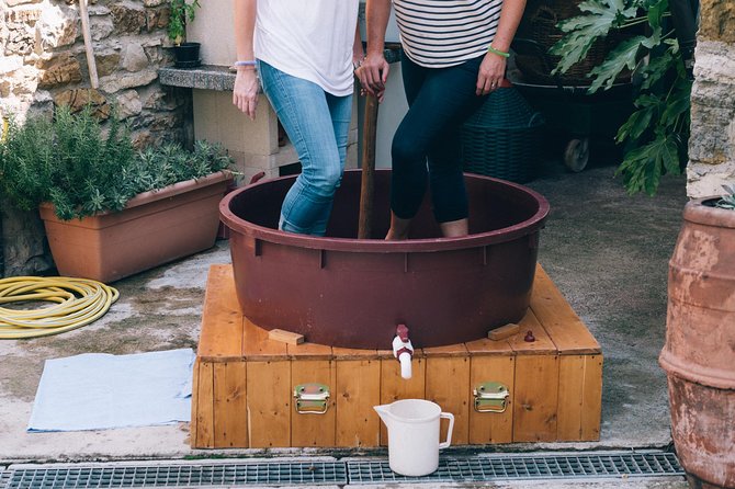 Private Grape stomping at Chianti Farmhouse - Guides can shape the whole afternoon
