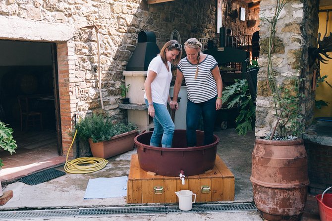 Private Grape stomping at Chianti Farmhouse - What four hours really includes
