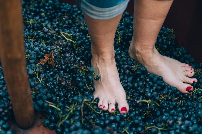 Private Grape stomping at Chianti Farmhouse - Is $384.11 per person fair?