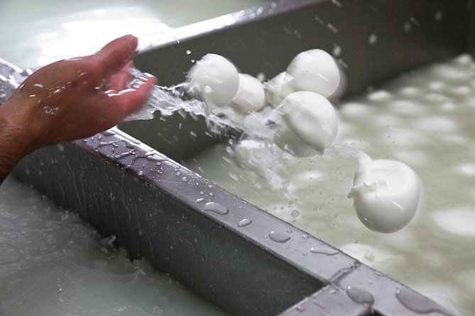 Private guided tour of Paestum and Buffalo Mozzarella farm lunch - What the private format changes