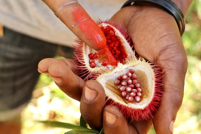 Private Guided Tour on Prison Island Stone Town and Spice Farm - Why this three-stop Zanzibar day works