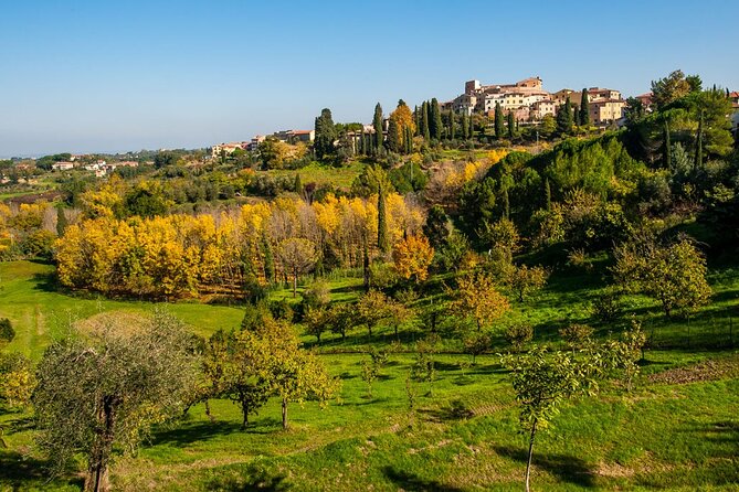Private Guided Tour to Pisa and local Wine Farm from Livorno port - What the $1,020.20 price really covers
