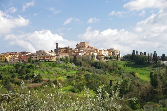 Private Guided Tour to Pisa and local Wine Farm from Livorno port - The Leaning Tower of Pisa and free time