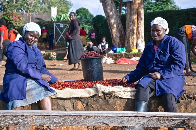 Private Half-Day Tour in Fairview Coffee Farm from Nairobi - Arrival at Fairview Coffee Estate