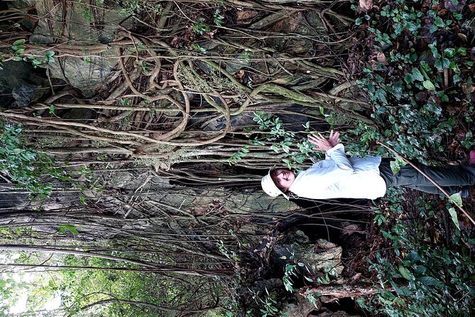 Private Kampot Countryside Tour & Pepper farm, Kep/Crab Market - Kep, the crab market, and lunch