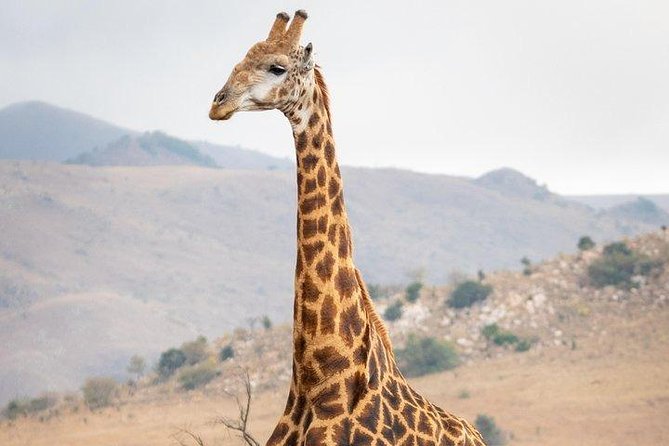 Private Le Cape Animal Farms Full Day Tour - Who will enjoy this animal tour most?