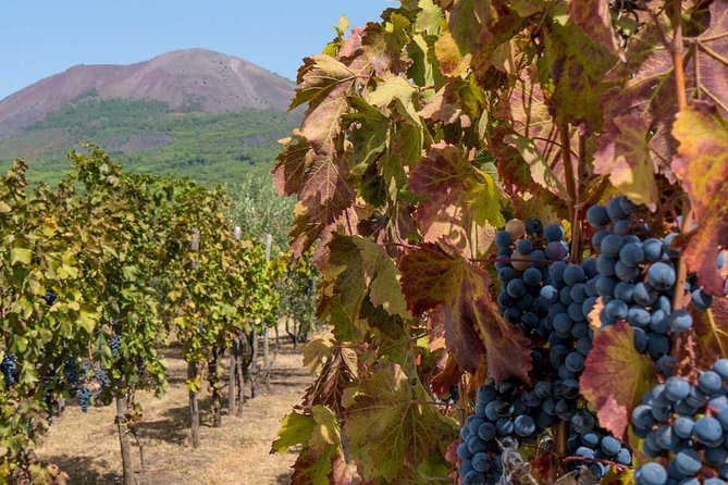 Private Mt Vesuvius and Pompeii with Lunch and Wine Farm Experience - The day at a glance