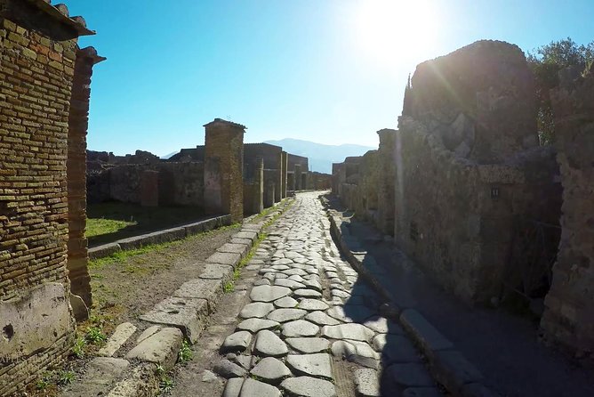 Private Mt Vesuvius and Pompeii with Lunch and Wine Farm Experience - Who should book this day