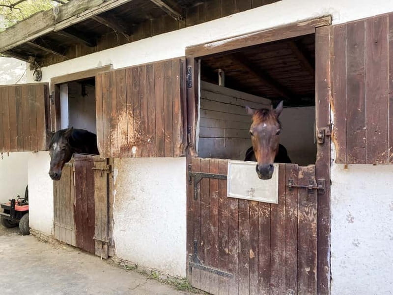 Private Novi Sad, Sremski Karlovci & Farmer's House - FAQ