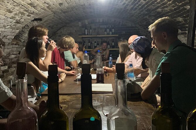 Private Novi Sad, Titanic wine tasting and Farmer's House - Sremski Karlovci and the story of bermet