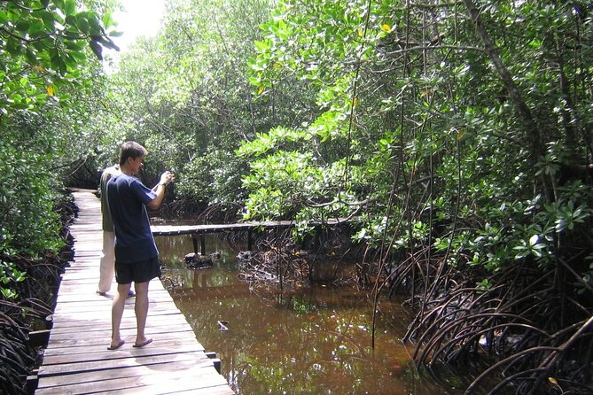 Private Stone Town & Spice Farm Tour - What this Zanzibar tour actually includes
