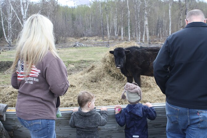Private Tour at Historic Alaska Dairy Farm - Morning tours and the bottle-fed calves