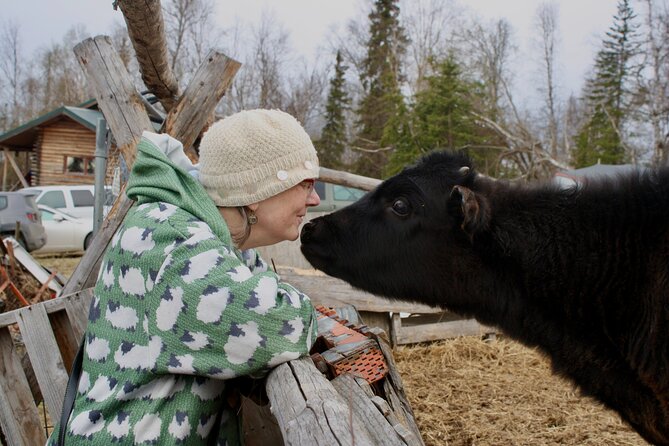 Private Tour at Historic Alaska Dairy Farm - Sheep, rabbits, and the wider farm experience
