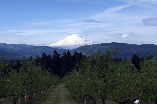 Private Tour at The Hood-Columbia Loop: Timberline, Orchards, and Waterfalls - Bridges, dams, and the Gorge’s working side