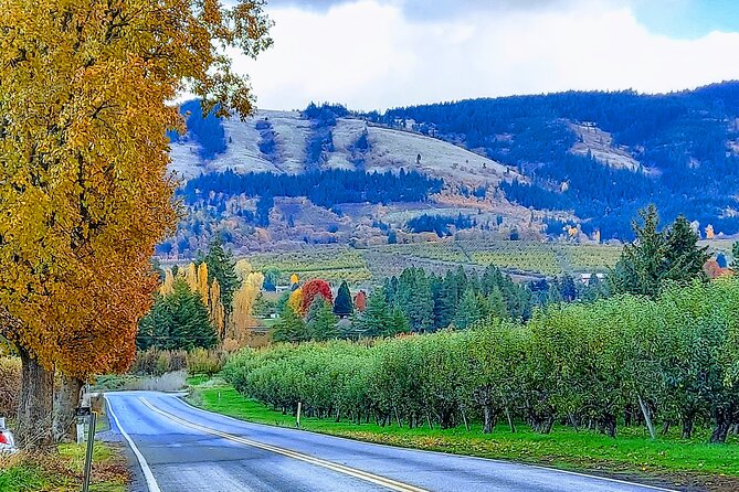 Private Tour at The Hood-Columbia Loop: Timberline, Orchards, and Waterfalls - Waterfalls from Elowah to Multnomah