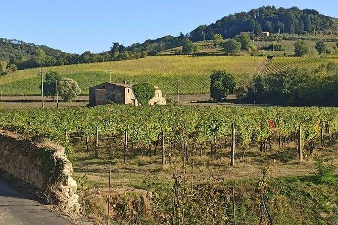PRIVATE TOUR: Chianti Afternoon tour with visit to 2 wine farms - Key points to know before booking