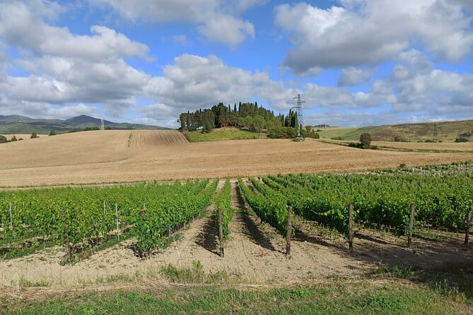 PRIVATE TOUR: Chianti Afternoon tour with visit to 2 wine farms - Leaving Florence at 3 p.m. for the Chianti hills