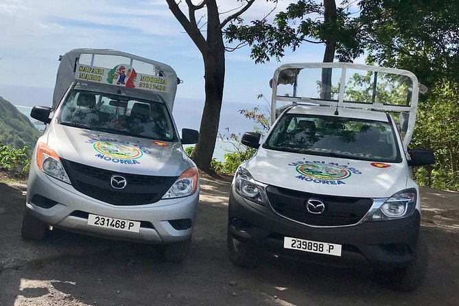 Private Tour Moorea 4WD - Belvedere Pineapple Farm, Magic Mount. - Inside Moorea’s caldera and the pineapple fields