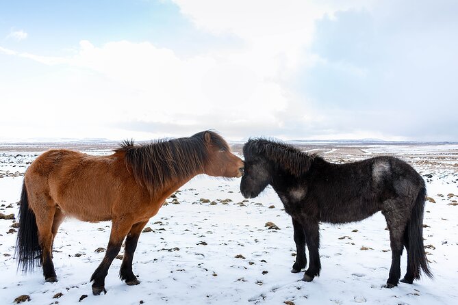 Private Tour Of The Golden Circle With Farm Visits In Iceland - Thingvellir: where Iceland’s ground and government meet
