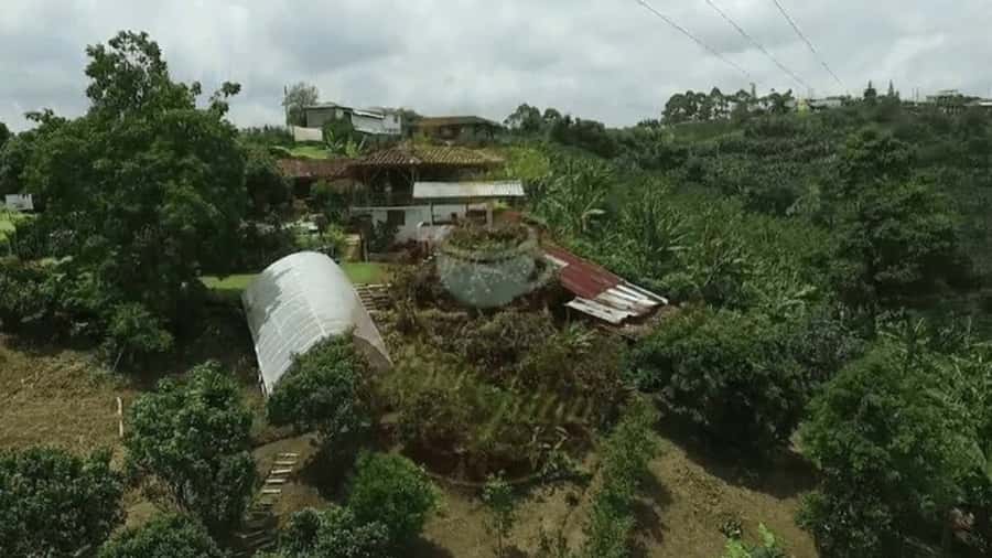 Private Tour to Coffee Farm (farm of your choice) - Getting from Pereira to the farm
