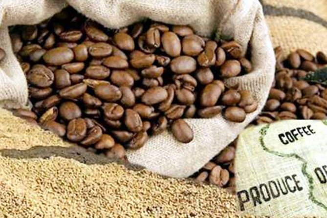 Private Tour to Fairview Coffee Farm in Nairobi with Pickup - Tasting Fairview coffee in the garden