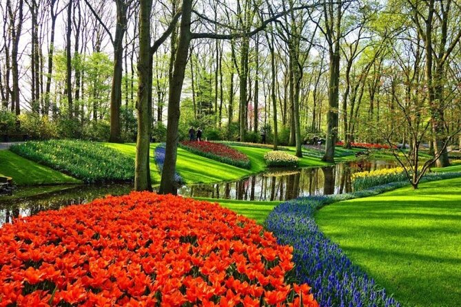 Private Tour to Tulips, Keukenhof, Windmills & Cheese Farm - What $470.43 per person really buys