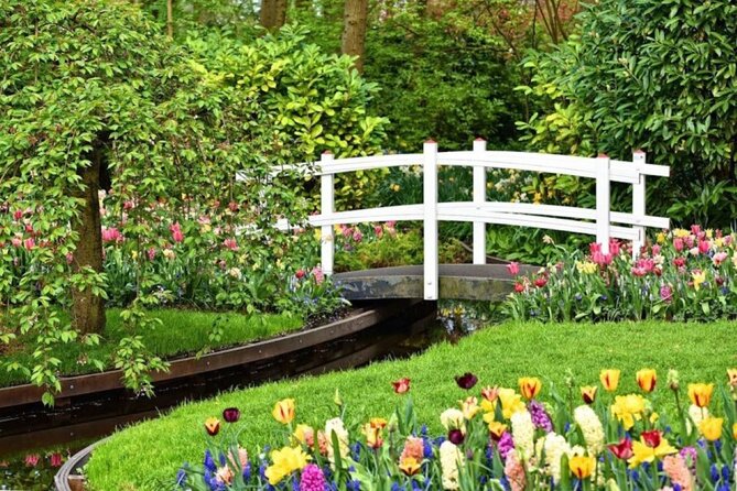 Private Tour to Tulips, Keukenhof, Windmills & Cheese Farm - Timing, comfort, and the rhythm of the day