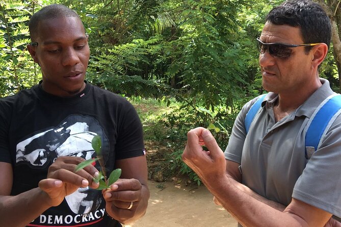 Private Tour Zanzibar Unique Stone Town with spice Farm Plantations - Coffee, ginger tea, and time to look around