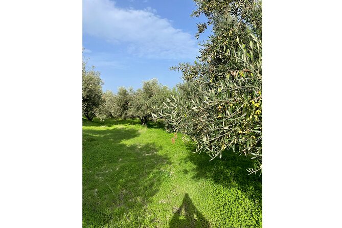 Private Traditional Olive Grove and Dragon Fruit Farm Tour - The snail farm adds an unexpected stop